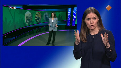 NOS Jeugdjournaal met gebarentaal